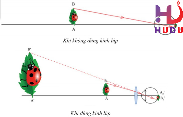 Sự tạo ảnh của kính lúp