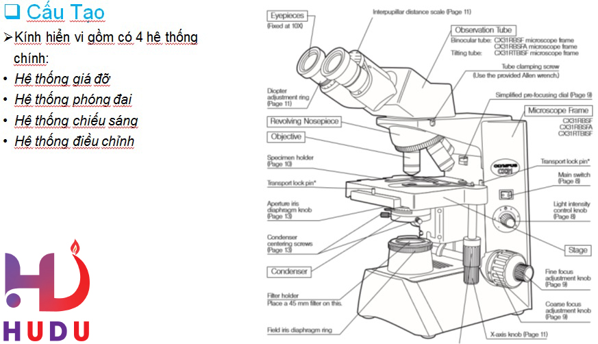 hướng dẫn sử dụng kính hiển vi đúng cách